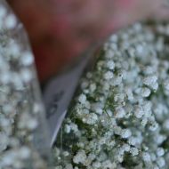 rgeventsweddings-floristeria5