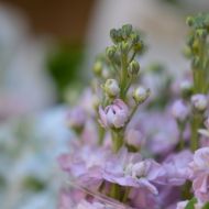 rgeventsweddings-floristeria6
