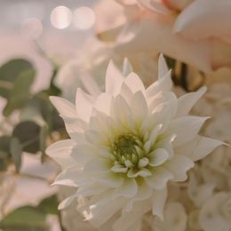 RG-EVENTS-BODA-HOSTAL-DE-LA-GAVINA-HS8