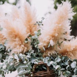 RG-EVENTS-BODA-CORTAL-GRAN-MB7