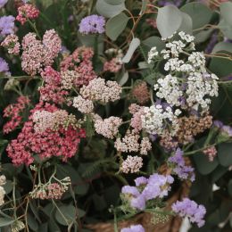 RG-EVENT-BODA-MAS-DARDER-SJ10